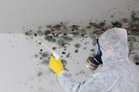 Best Mold Remediation for Healthcare Facilities  in Boonsboro, MD